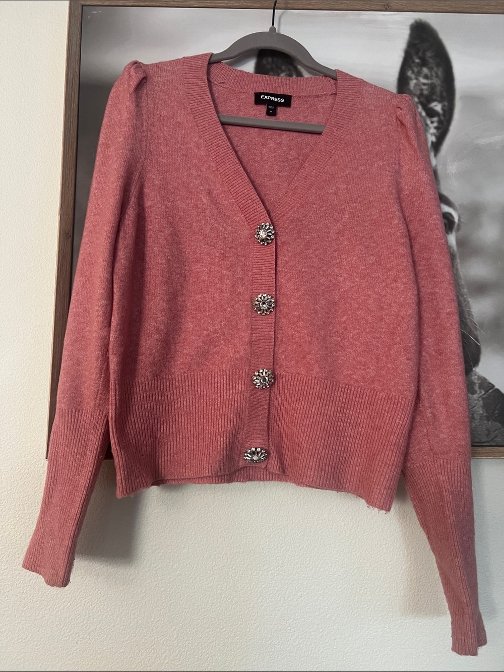Express Pink Crystal-Button V-Neck Cardigan